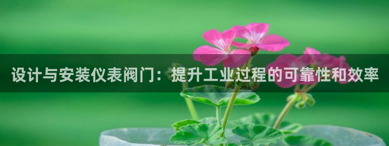 顺盈娱乐彩票官网首页