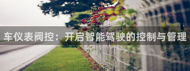 顺盈娱乐主管经判官333OO