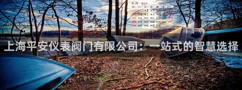 顺盈娱乐主管=天神779O3