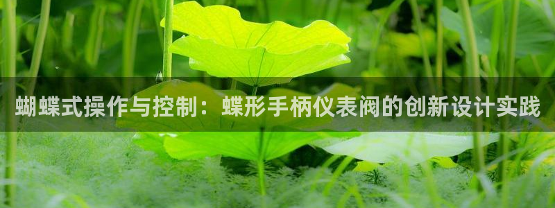 顺盈娱乐平台