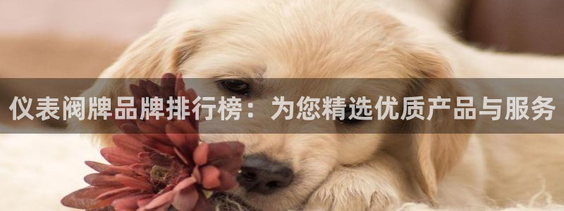 盈顺休闲娱乐室团购价格
