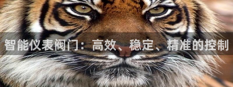 顺盈娱乐行求威判官333OO