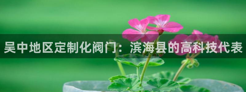 顺盈2娱乐彩票