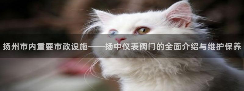 优盈娱乐顺122222