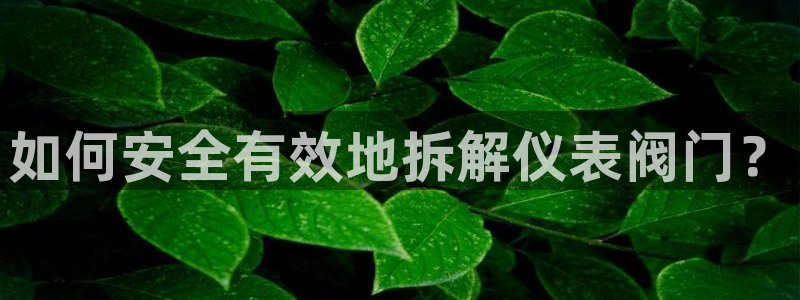 顺盈百威美食娱乐广场