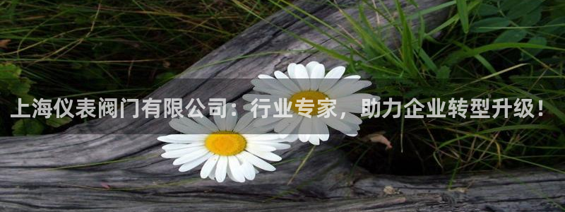 顺盈娱乐最高代理人名单