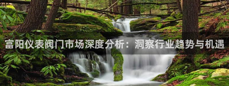 顺盈娱乐下载手机版