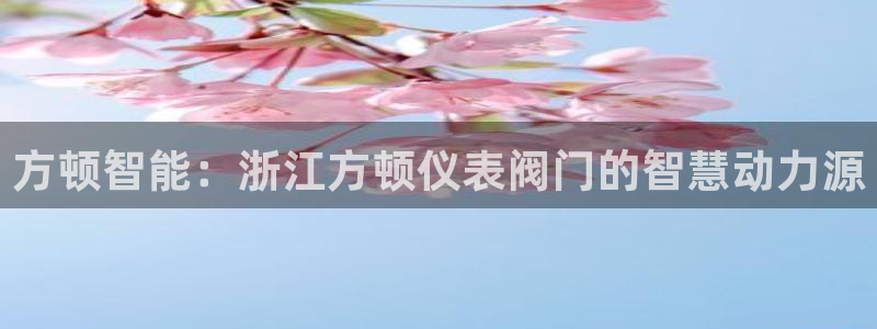 顺盈娱乐主管后原判官333OO