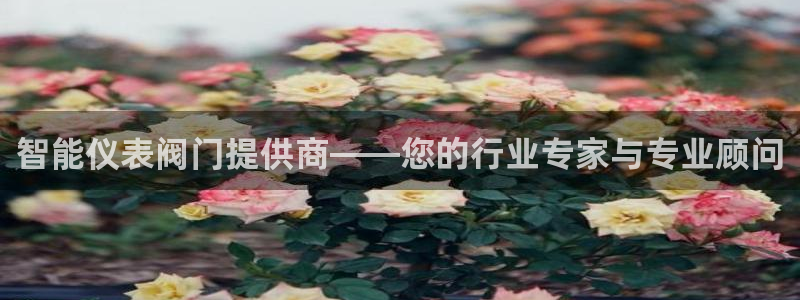 顺盈2娱乐在线教育
