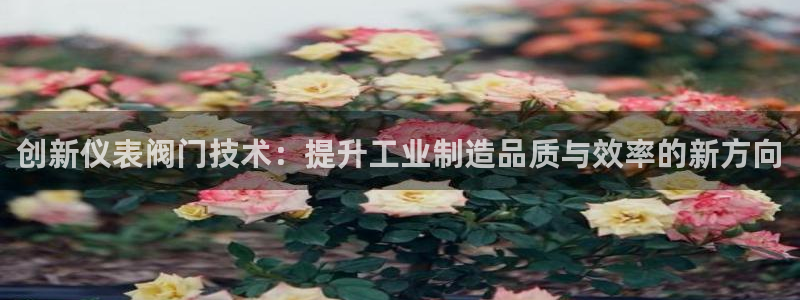 清远顺盈娱乐公司
