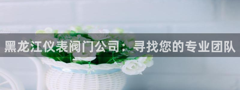顺盈娱乐招商后原判官333OO