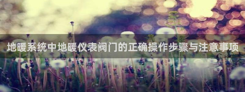 清远顺盈娱乐怎么样
