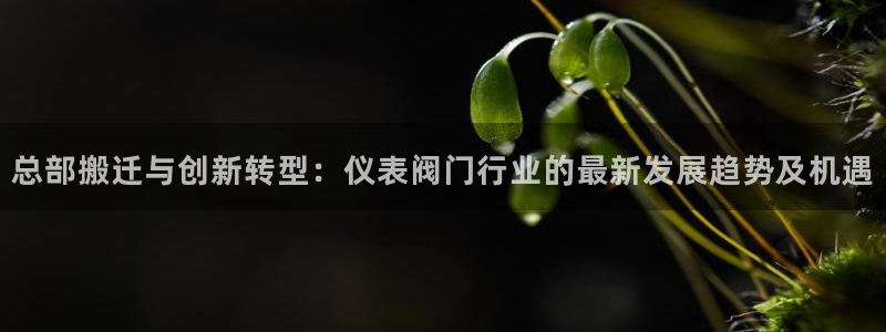 清远顺盈娱乐集团面试