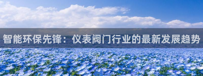 顺盈2娱乐游戏开发商