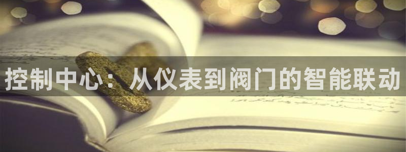 顺盈娱乐彩票