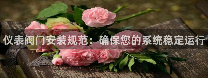 顺盈娱乐彩票怎么样