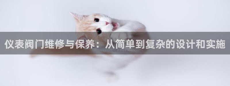 顺盈娱乐下载安装官方