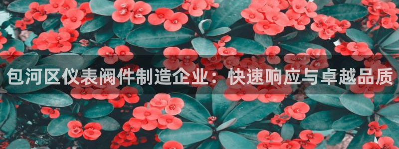顺盈娱乐在线开户流程