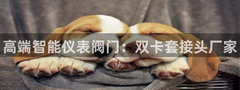 清远顺盈娱乐城