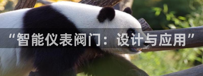 清远顺盈娱乐公司推荐