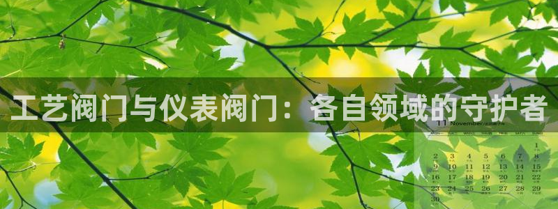 顺盈娱乐找382223