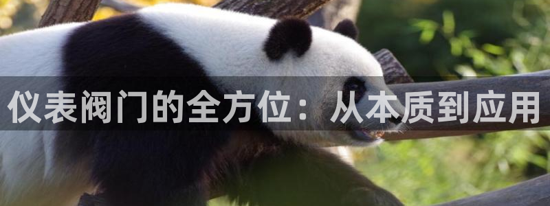 清远顺盈娱乐城