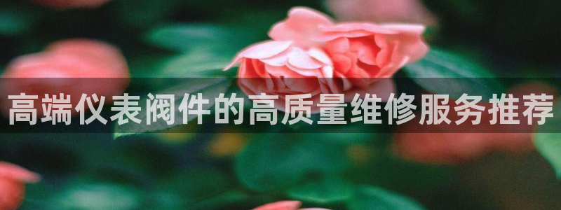 清远顺盈娱乐公司