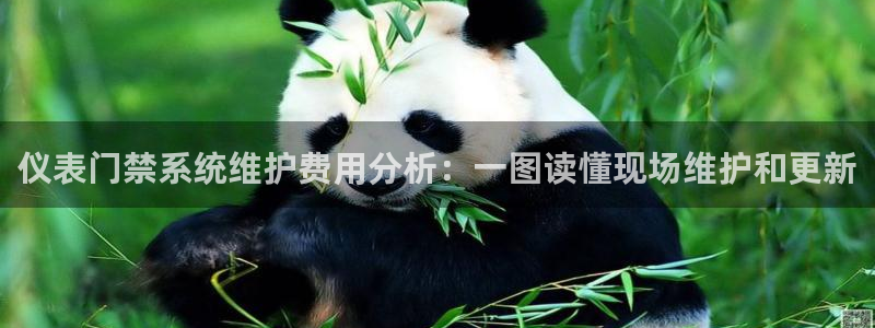 顺盈娱乐 炤企鹅779O3