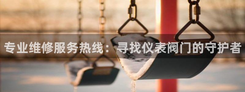 顺盈娱乐qv87555