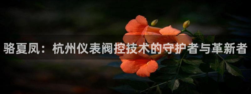 顺盈娱乐找527b.cn升哥