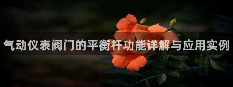 清远顺盈娱乐公司推荐