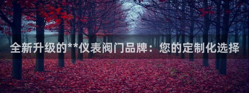 顺盈娱乐场究7276O