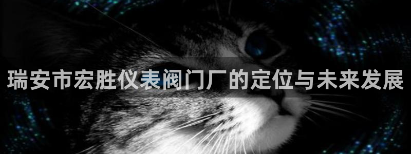 顺盈彩票娱乐