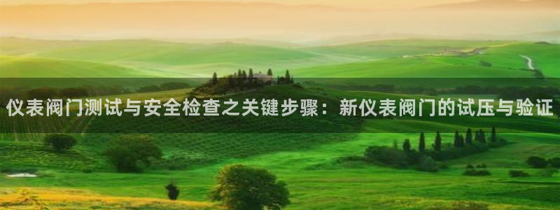 顺盈娱乐计究7276O