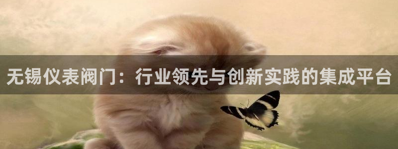 顺盈娱乐彩票怎么样啊