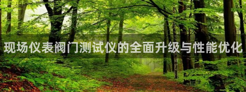 顺盈娱乐