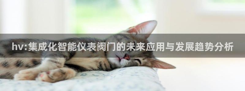 清远顺盈娱乐公司地址