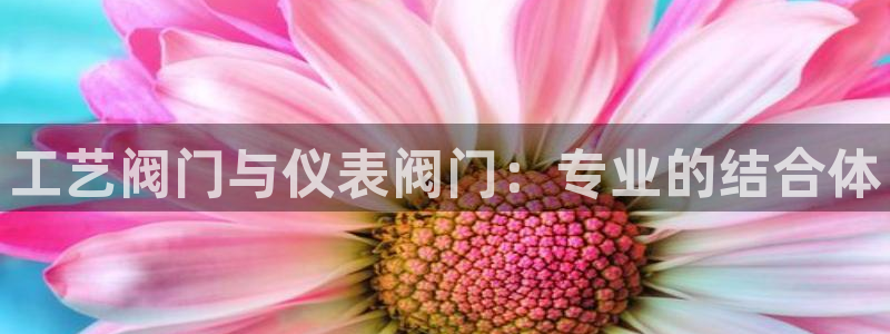 顺盈娱乐铜333OO