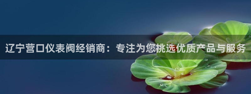顺盈娱乐28是什么