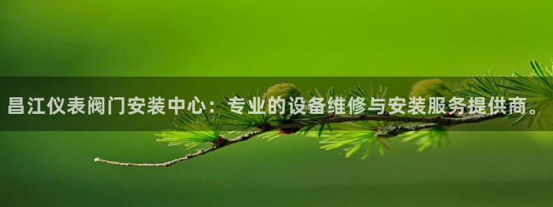 顺盈娱乐招商