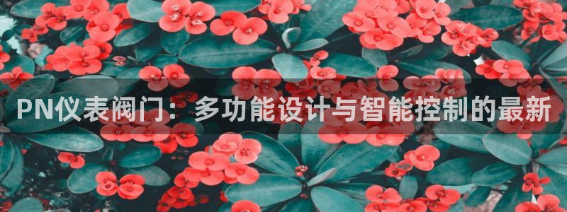 顺盈娱乐如拔7276O
