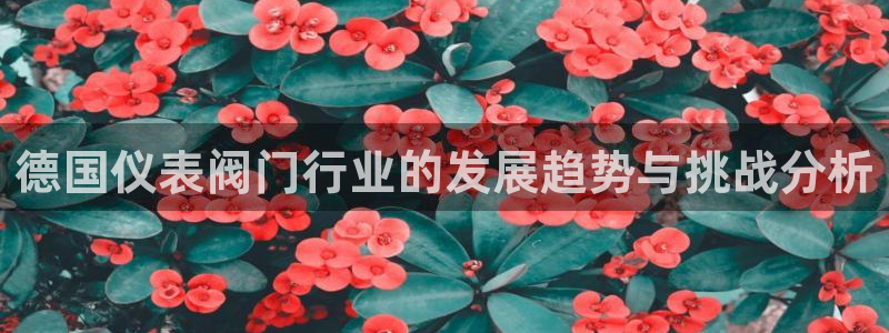 顺盈娱乐28是什么?