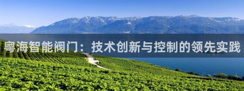 顺盈娱乐平台登录不了