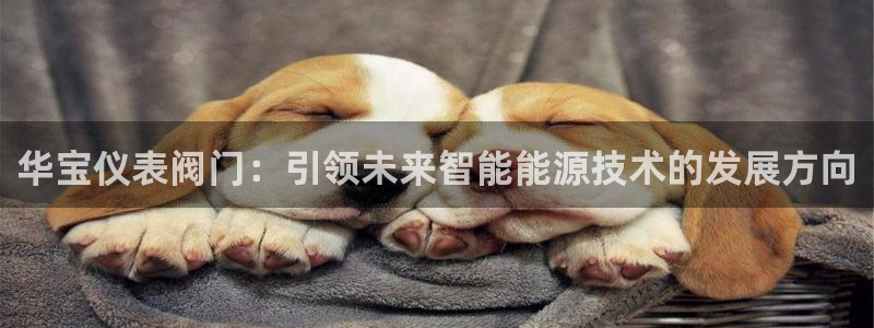 顺盈2娱乐游戏开发商