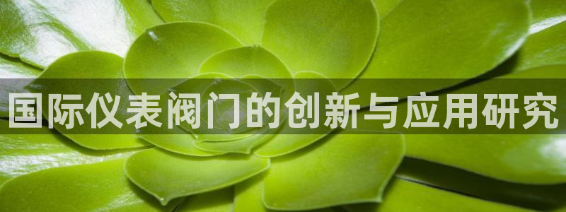 顺盈娱乐最高代理人