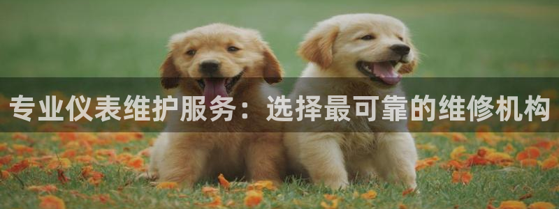 娱乐顺盈国际