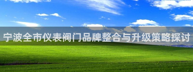 顺盈娱乐下载安装手机版