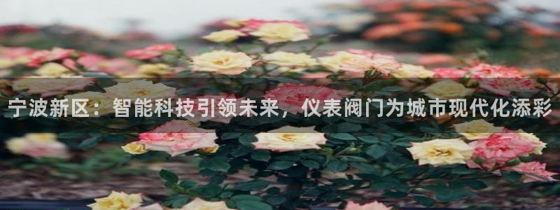 顺盈娱乐qv87555