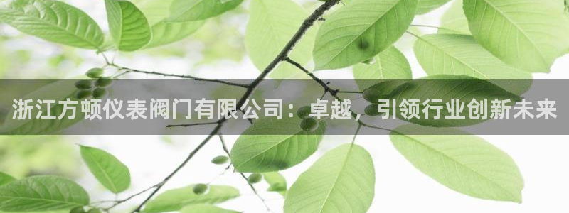 盈顺娱乐休闲室怎么样