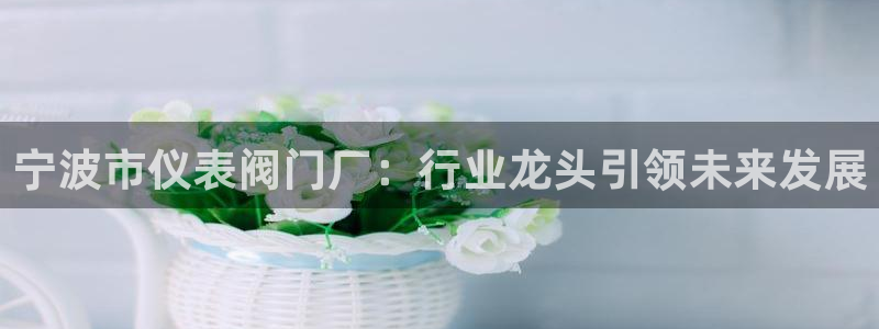 顺盈娱乐下载安装官方网